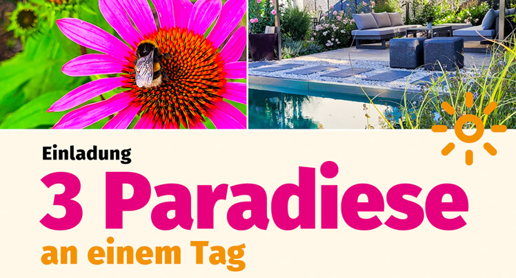 3 Paradiese an einem Tag – Naturpooltag am 14.09.2025